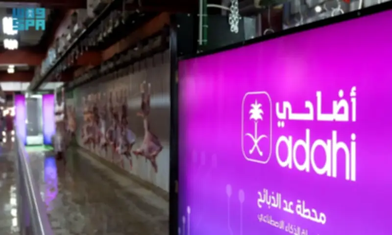 أضاحي تطرح صكوك الهدي للحج بسعر موحد 720 ريالًا