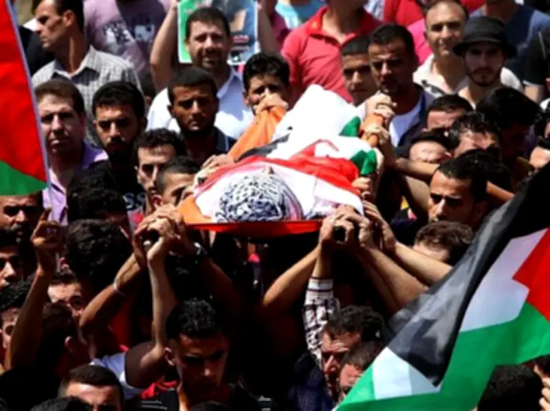 حصيلة ضحايا العدوان على غزة ترتفع إلى 72,769 شهيدًا و172,704 جرحى
