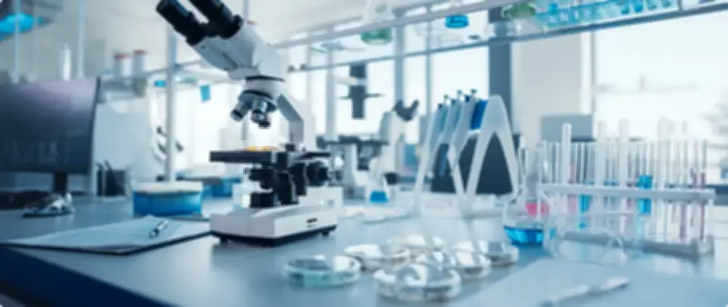 جامعة طيبة تطلق برنامج تمكين الباحثين الناشئين في مجالات حيوية