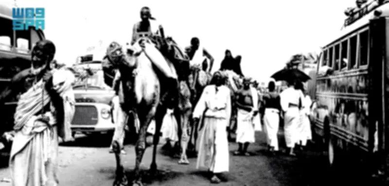 من قوافل الإبل إلى القطارات الذكية: رحلة تطور وسائل نقل الحجاج عبر التاريخ