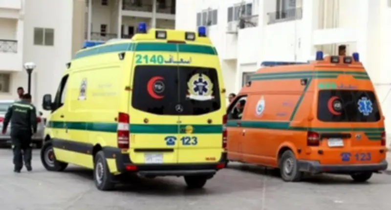 مأساة في الشرقية: زوج يذبح زوجته أمام طفليه في قرية الأخيوة