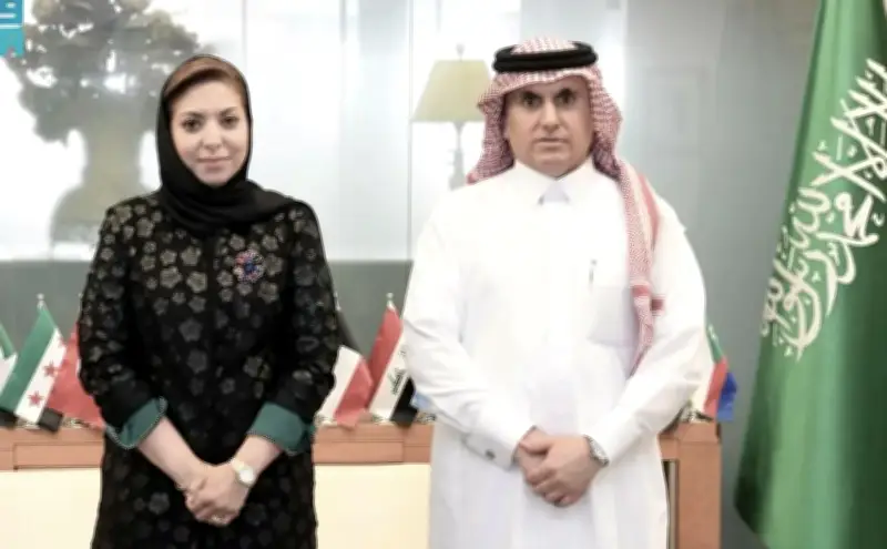 مندوب المملكة لدى الجامعة العربية يلتقي المديرة التنفيذية لمنظمة تنمية المرأة