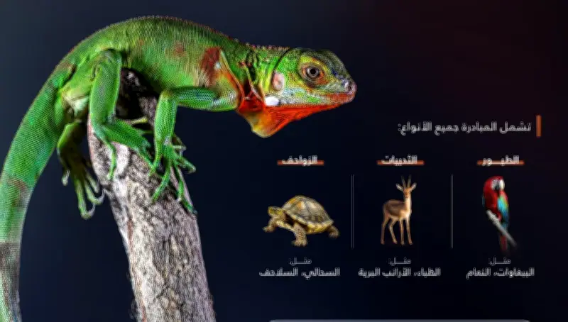 تطوير تقنيات الاتصالات في المملكة لدعم التحول الرقمي