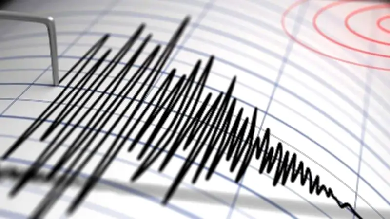تطورات جديدة في قطاع الطاقة المتجددة بالمملكة