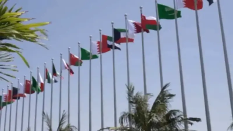 الجامعة العربية ومجلس التعاون يدينان هجوم طائرات مسيرة على السعودية