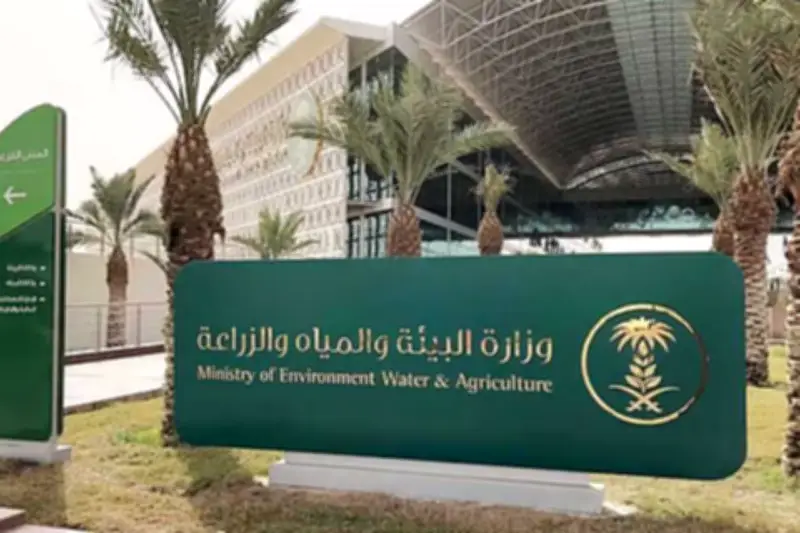 وزارة البيئة تصدر إرشادات صحية لاختيار الأضاحي لضمان جودة اللحوم