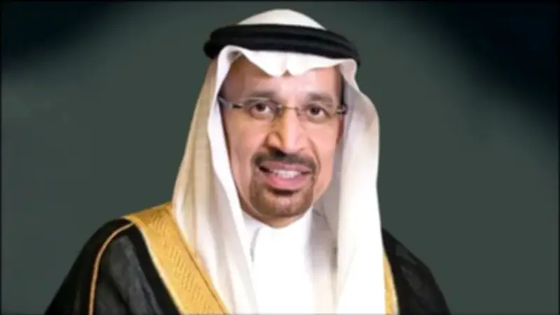 أمر ملكي بتعيين خالد الفالح وزيراً مختصاً ورئيساً لهيئة المحاسبين