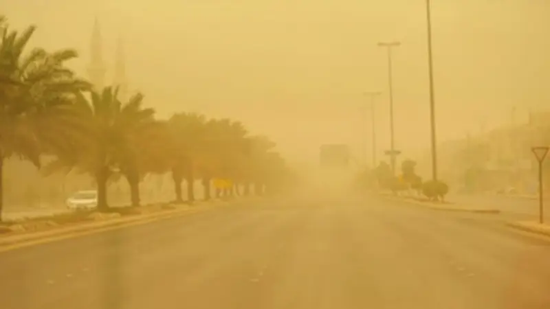 تعليم الرياض يطلق مبادرة لتطوير مهارات الطلاب في البرمجة والذكاء الاصطناعي