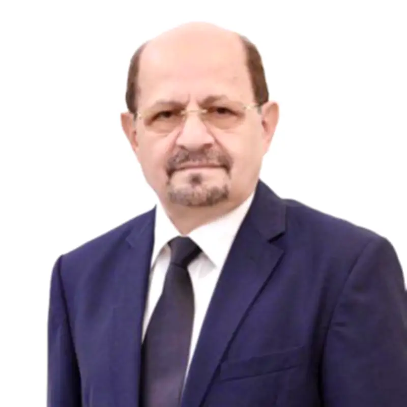 الزنداني: السعودية ركيزة أساسية لمنع انهيار الدولة اليمنية