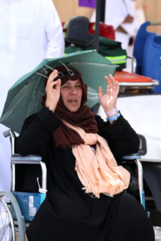 مشعر عرفات يشهد خشوع الحجاج ودعواتهم في يوم التصعيد المبارك