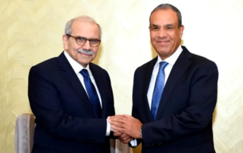 مصر تطالب بانسحاب إسرائيلي كامل من الأراضي اللبنانية وتؤكد تضامنها مع لبنان