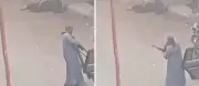 فيديو يوثق إطلاق نار عشوائي في أبنوب بمصر يسفر عن 13 قتيلاً وجريحاً