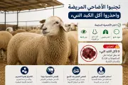 تطوير تقنيات الذكاء الاصطناعي في المملكة لدعم رؤية 2030