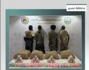 القبض على 4 مخالفين إثيوبيين لتهريب 67 كجم من القات في عسير