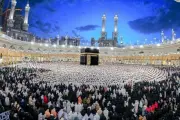 وزارة الحج تعتمد 73 شركة مؤهلة لخدمة حجاج الداخل