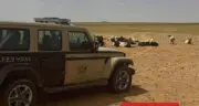ضبط مواطن مخالف لنظام البيئة برعي الأغنام في محمية الإمام تركي