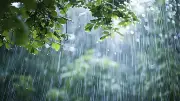 المركز الوطني للأرصاد يحذر من أمطار متوسطة وصواعق رعدية على الباحة