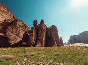 محمية شرعان في العُلا نموذج رائد لإدارة البيئات الصحراوية واستعادة التوازن الطبيعي