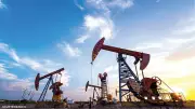 تطوير تقنيات الذكاء الاصطناعي لتحسين الرعاية الصحية في المملكة