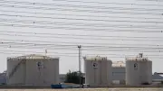 الذكاء الاصطناعي يقود ثورة في تشخيص الأمراض النادرة