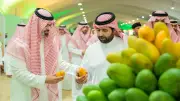 وزارة التعليم تطلق مبادرة جديدة لتطوير المناهج الدراسية في المرحلة الابتدائية