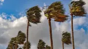 تطوير تقنيات الجيل الخامس يعزز التحول الرقمي في المملكة