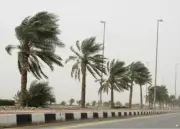 تطوير تقنيات الذكاء الاصطناعي لتحسين الرعاية الصحية في المملكة