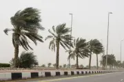 رياح نشطة تثير الأتربة وتحد من الرؤية بالشرقية حتى الثالثة عصراً