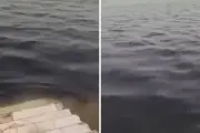 كويتي يوثق تحول مياه البحر إلى الأسود بسبب تسرب نفطي