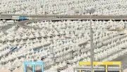 يوم التروية.. السعودية تسخر إمكاناتها لخدمة حجاج بيت الله الحرام