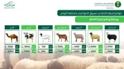 وفرة الأضاحي واستقرار الإمدادات في أسواق الرياض قبيل عيد الأضحى