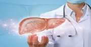 دراسة: مرض الكبد الدهني يضرب القلب ويرفع خطر النوبات والسكتات