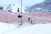 وادي محسر في مزدلفة.. قصة حسر فيل أبرهة وسنة النبي في الإسراع
