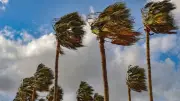 الأرصاد تحذر من رياح نشطة تؤثر على الرؤية في حائل