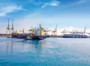إضافة خدمة شحن جديدة من MSC إلى ميناء جدة والملك عبدالله