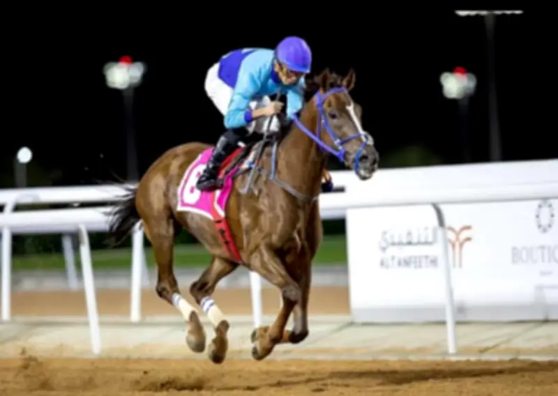 عودة سباقات الخيل إلى ميدان الملك خالد بالطائف بجوائز 22 مليون ريال
