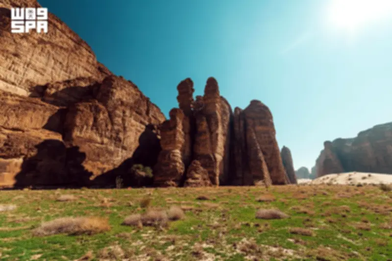 العُلا تخصص 50% من مساحتها كمحميات طبيعية ضمن مبادرة السعودية الخضراء