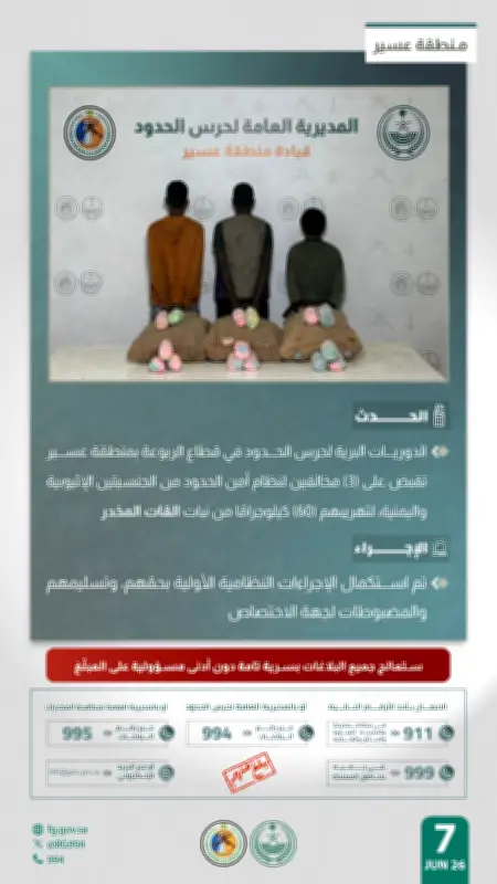 حرس الحدود بعسير يضبط 60 كجم قات ويقبض على 3 مخالفين
