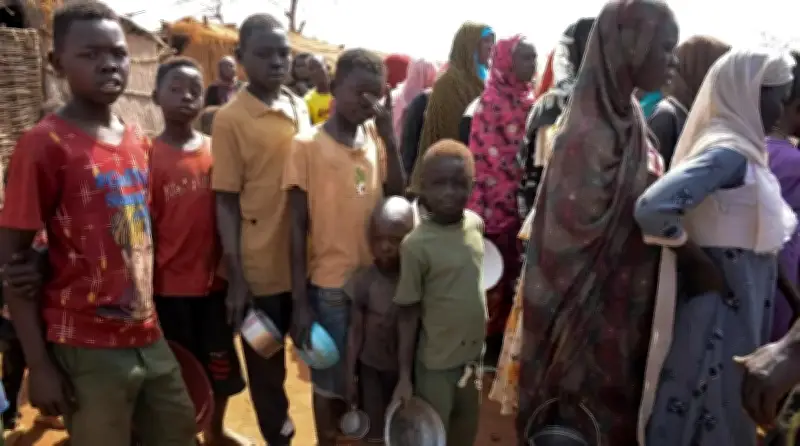 السودان: وفاة 77 وإصابة 308 بالكوليرا في غرب كردفان