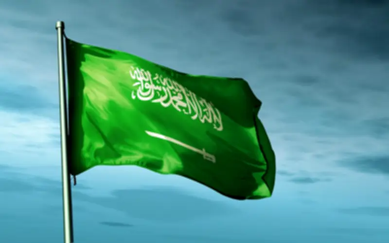 السعودية تؤكد أهمية التعاون الدولي لمواجهة مخاطر الأسلحة غير المشروعة