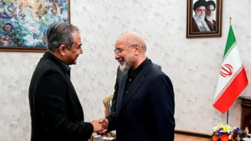 وزير داخلية باكستان في طهران لإنقاذ المفاوضات الإيرانية الأمريكية