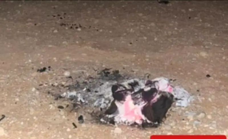 ضبط مواطن لإشعال النار في محمية الملك عبدالعزيز الملكية