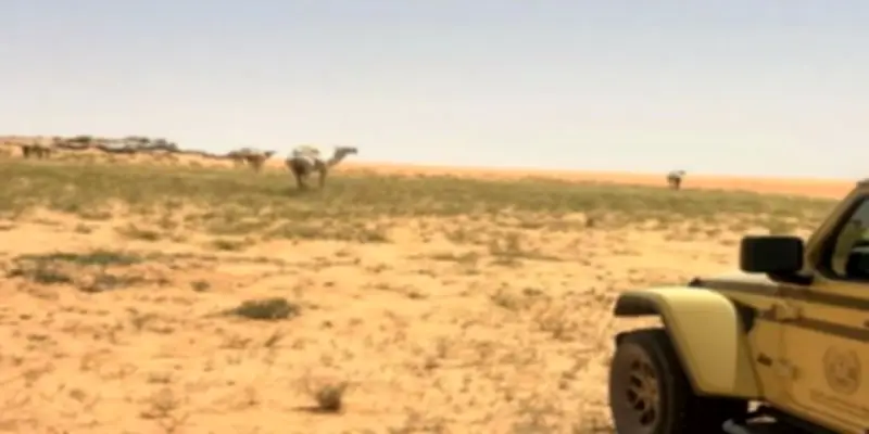ضبط مخالفين لاستغلال الرواسب والرعي ودخول المركبات بالمناطق المحمية