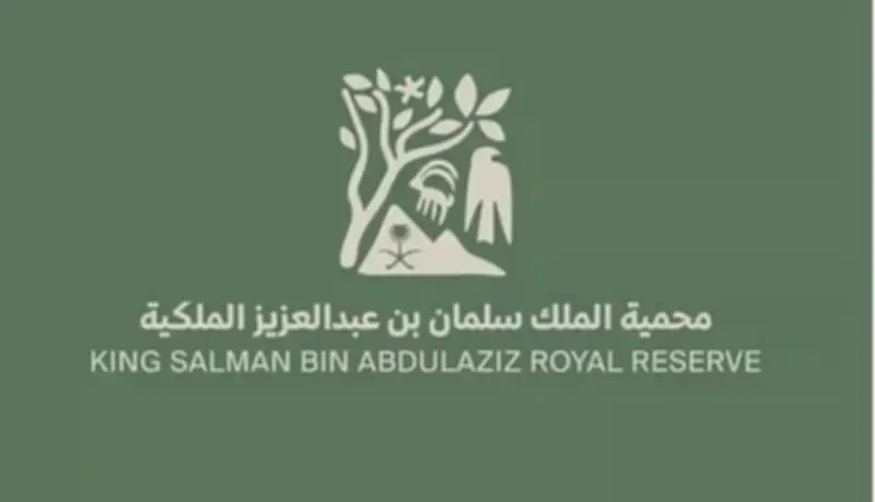 مبادرة لحماية الطيور من الصعق الكهربائي في محمية الملك سلمان