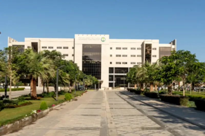 منطقة التخصصي بالمدينة تقدم 23,443 جلسة علاج كيماوي لمرضى السرطان خلال 2025