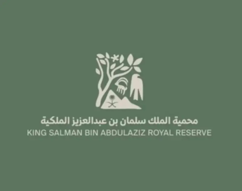 محمية الملك سلمان تثبت عوازل كهربائية لحماية الطيور المهاجرة من الصعق