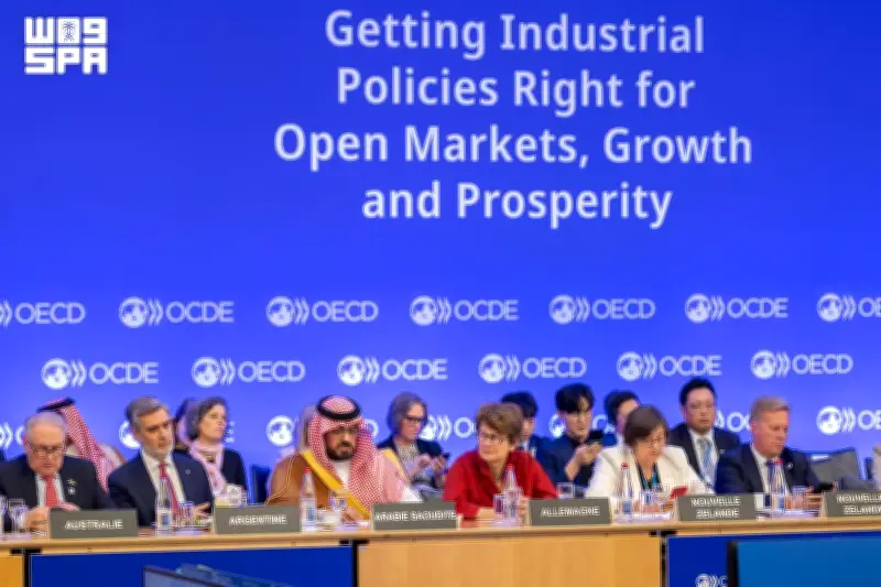 وزير الاقتصاد يستعرض تجربة التنويع والنمو المستدام في اجتماع OECD 2026 بباريس