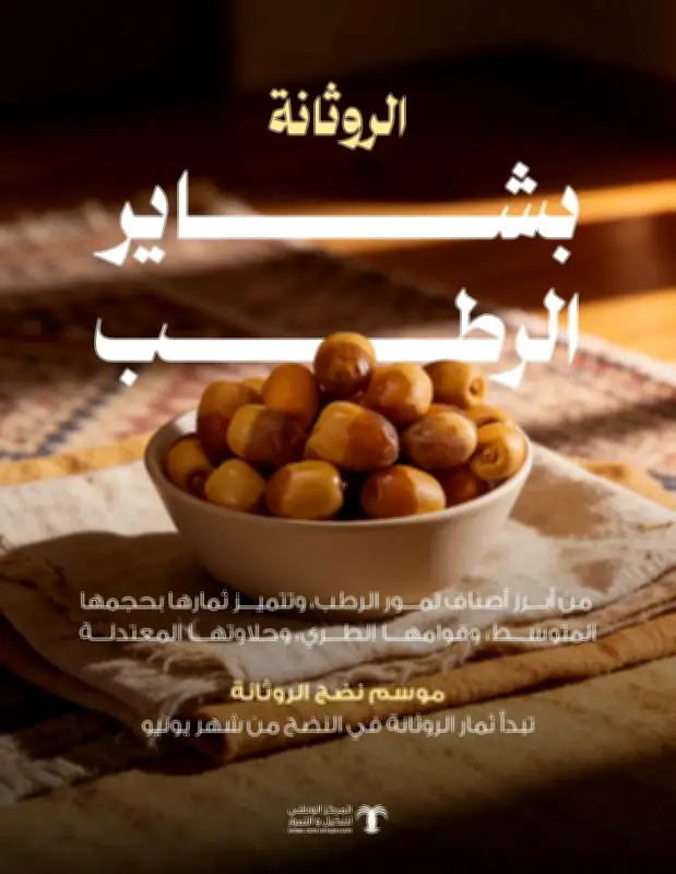 الروثانة تتصدر أسواق الرطب في المملكة بفضل قوامها الطري وحلاوتها المعتدلة