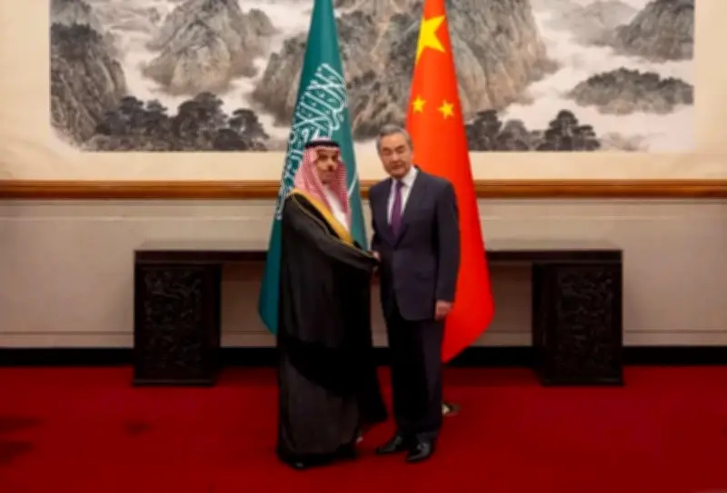وزير الخارجية ونظيره الصيني يؤكدان أمن الملاحة البحرية