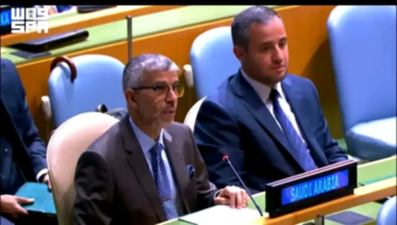المملكة تؤكد محورية ميثاق الأمم المتحدة وتعزيز العمل متعدد الأطراف